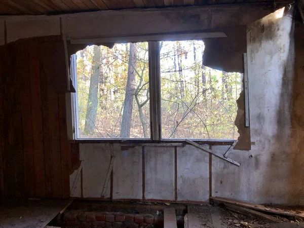 Wooden, abandoned house in the autumn forest on a background of trees and plants. Old destroyed house in the park among pines and shrubs. Dilapidated house among nature. — Stock Photo, Image