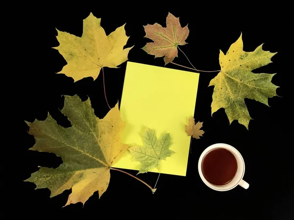 Jesienna martwa natura na ciemnym stole. Kubek kawy, notatnik i liście na czarnym tle. Pusta książka, żółte liście, widok z góry. — Zdjęcie stockowe