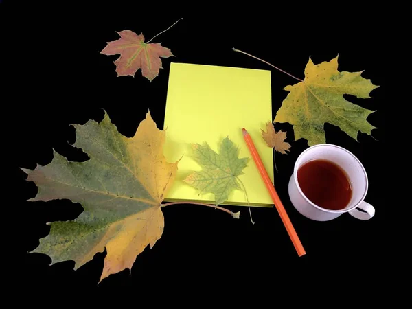 Outono ainda vida em uma mesa escura. Xícara de café, caderno e folhas em um fundo preto. Livro vazio, folhas amarelas, vista superior . — Fotografia de Stock