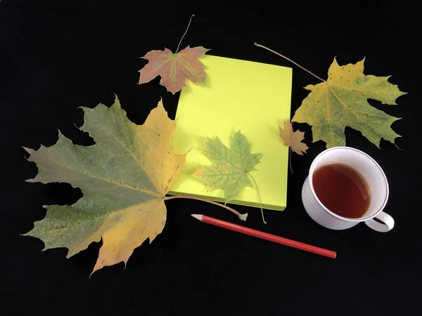 Musim gugur masih hidup di atas meja gelap. Cangkir kopi, buku catatan dan daun di latar belakang hitam. Buku kosong, daun kuning, tampilan atas . — Stok Foto