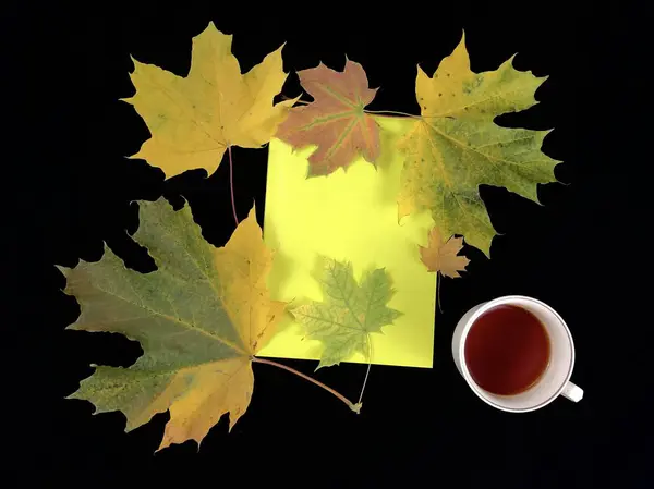 Jesienna martwa natura na ciemnym stole. Kubek kawy, notatnik i liście na czarnym tle. Pusta książka, żółte liście, widok z góry. — Zdjęcie stockowe