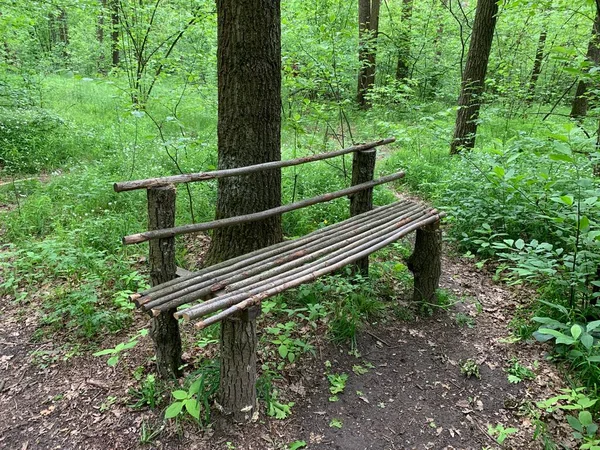 Wooden bench in the forest among the trees. A place to relax in the park in nature. Wooden benches for a picnic in the fresh air.