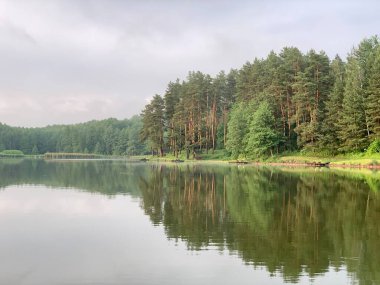 Ağaçlar gölün suyuna yansıyor. Akşam manzarası, ormanda küçük bir gölet. Mavi gökyüzünün yansıması ve bir park rezervuarındaki ağaçlar. Doğanın ortasında bir gölette gün batımı.