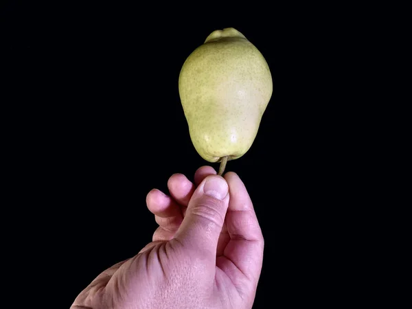 Zelená Zralá Hruška Černém Pozadí Odrůda Bera Velké Plody Podzimní — Stock fotografie
