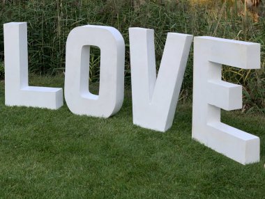 Yeşil çimlerin üzerinde 