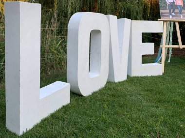 Yeşil çimlerin üzerinde 