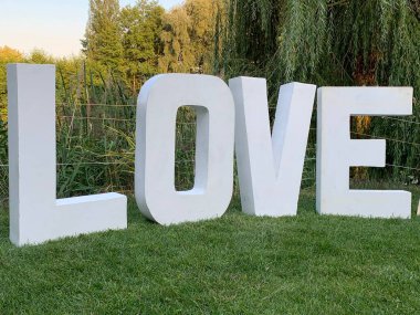 Yeşil çimlerin üzerinde 