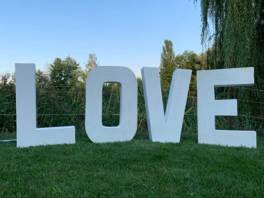 Yeşil çimlerin üzerinde 