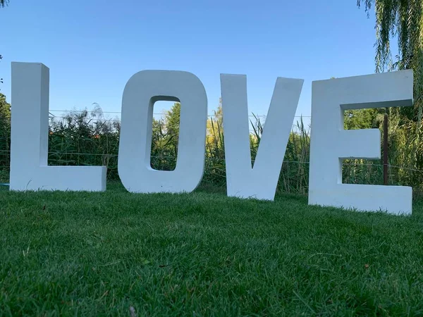 Yeşil çimlerin üzerinde 