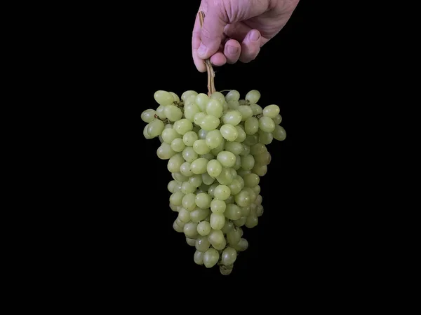 Eine Traube Grüner Trauben Auf Schwarzem Grund Früchte Reifer Kernloser — Stockfoto