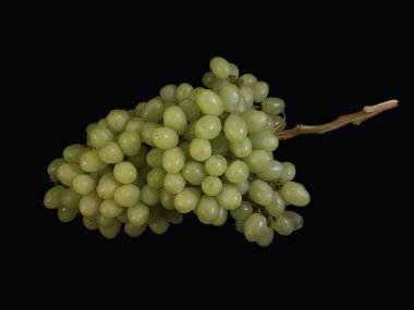 Siyah arka planda bir demet yeşil üzüm. Olgun çekirdeksiz üzüm meyveleri. Konsept: Sonbahar meyveleri, yararlı doğal vitaminler.