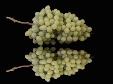 Siyah arka planda bir demet yeşil üzüm. Olgun çekirdeksiz üzüm meyveleri. Konsept: Sonbahar meyveleri, yararlı doğal vitaminler.