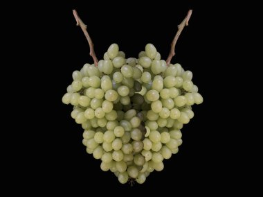 Siyah arka planda bir demet yeşil üzüm. Olgun çekirdeksiz üzüm meyveleri. Konsept: Sonbahar meyveleri, yararlı doğal vitaminler.