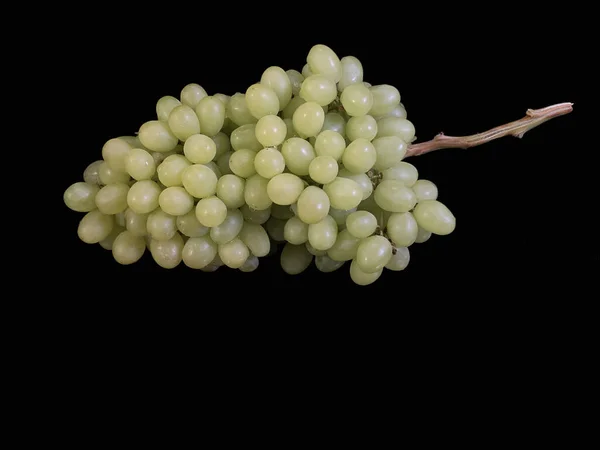 黒の背景に緑のブドウの束 熟した種なしブドウの果実 コンセプト 秋の果物 有用な天然ビタミン — ストック写真