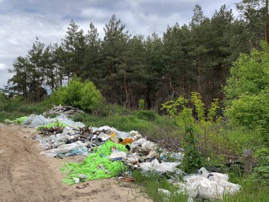 Ormandaki çöplük. Çevre kirliliği. İnsanlar ormana yasa dışı çöp atıyor. Kavram: insan ve doğa hakkında. Doğada yasadışı çöplük. Irpen, Ukrayna, Kiev bölgesi, 18 Ağustos 2020.