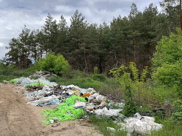 Ormandaki çöplük. Çevre kirliliği. İnsanlar ormana yasa dışı çöp atıyor. Kavram: insan ve doğa hakkında. Doğada yasadışı çöplük. Irpen, Ukrayna, Kiev bölgesi, 18 Ağustos 2020.