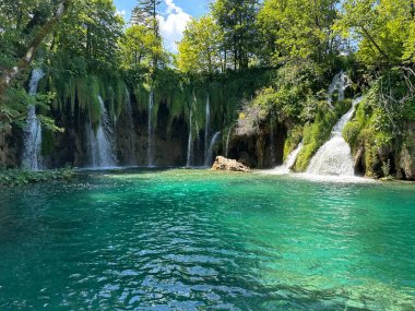 Hırvatistan 'daki Plitvice Gölleri' nin ışıltılı güzelliğine dalın, ışıl ışıl turkuaz sular ve şelaleler huşu uyandıran doğal bir manzara yaratıyor..