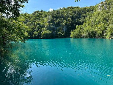 Hırvatistan 'daki Plitvice Göllerini keşfedin. Parıldayan turkuaz sular görkemli şelalelere akıyor ve doğanın en güzel manzaralarından birinde unutulmaz bir macera sunuyor..