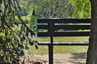Ağaçlarla çevrili bir göletin önündeki bankta görüntüyü göster