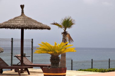 Güneşliği, palmiyeleri ve okyanus kenarındaki koltukları olan bir dinlenme alanı.