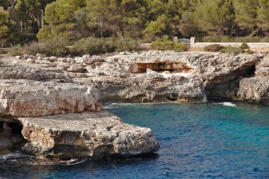 Tepesinde ağaçlar olan kayalık kıyı şeridi.