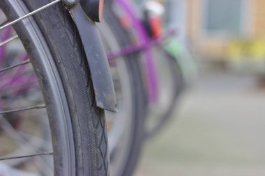 Üç bisikletin arkası ön plana odaklanmış bir şekilde bir sırada duruyor.