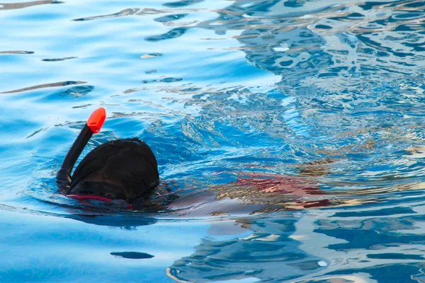 未確認の子供は水中でシュノーケリング — ストック写真