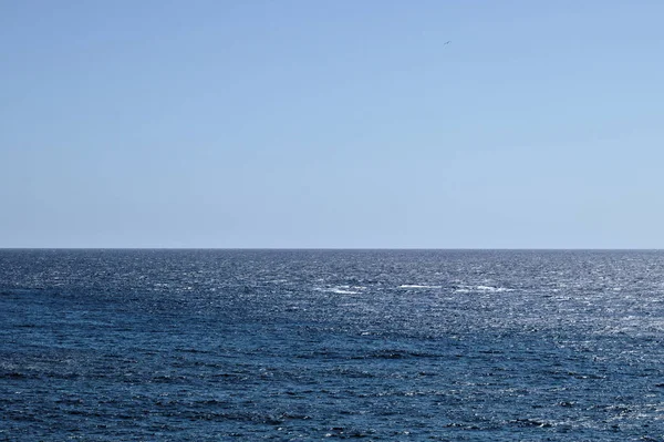 Horizon Med Blå Himmel Över Blått Vatten — Stockfoto