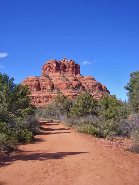 Vue Panoramique Sur Grand Rocher Rouge Avec Des Arbres Autour — Photo