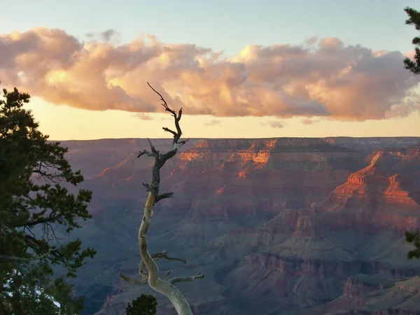 Vista Para Grand Canyon — Fotografia de Stock