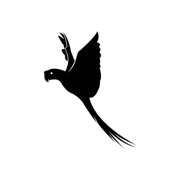 Ptačí silueta papouška na bílém pozadí — Stockový vektor