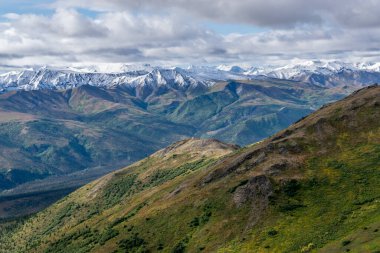 Denali Ulusal Parkı 'ndaki dağlar manzarası, Alaska, ABD