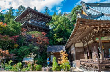Sonbahar yapraklı güzel bir türbe, miyajima adası, Hiroşima, Japonya