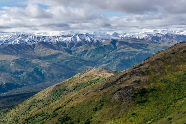 Ορεινό Τοπίο Στο Εθνικό Πάρκο Ντενάλι Αλάσκα Ηπα — Φωτογραφία Αρχείου