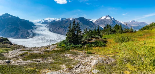 Vue Glacier Salmon Prairie Verte Colombie Britannique Canada — Photo