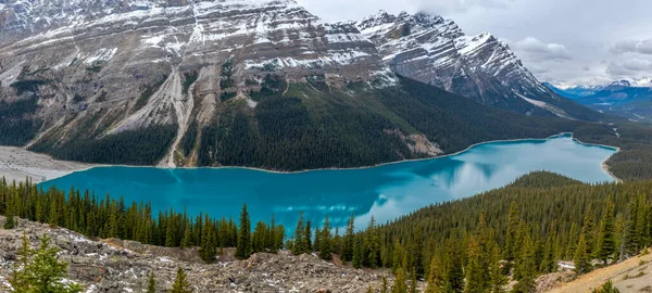 Jezioro Peyto Park Narodowy Banff Alberta Kanada — Zdjęcie stockowe