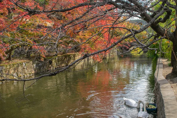 Водный Канал Историческом Городе Курасики Япония — стоковое фото