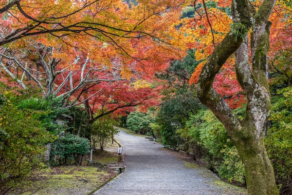 Красивые Цвета Осени Районе Арашияма Киото Япония — стоковое фото
