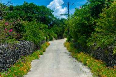 Japonya, Okinawa 'daki Taketomi Adası' ndaki Dusty Caddesi.