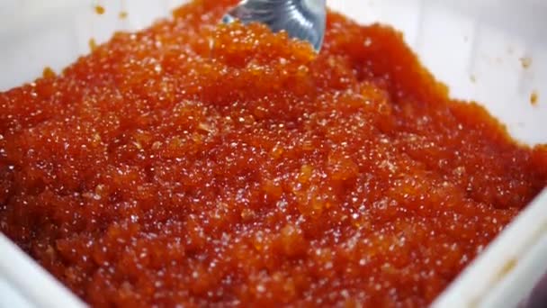 Caviar Rojo Tazón — Vídeo de stock