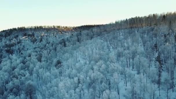 Χιόνι Δάσος Από Ποτάμι — Αρχείο Βίντεο