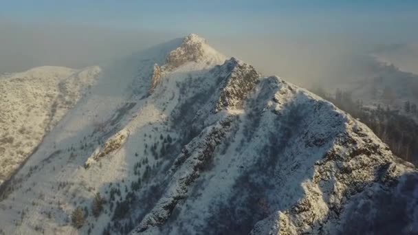 Forêt Neige Bord Rivière — Video