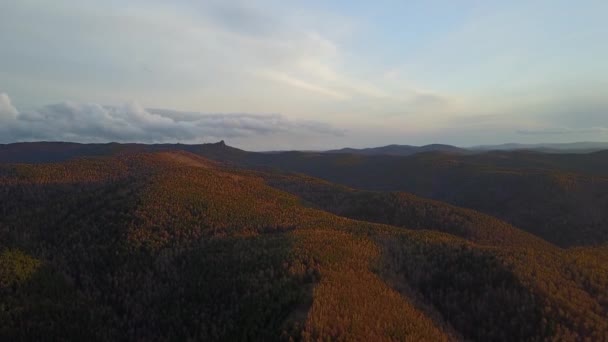 Puesta Sol Primavera Bosque — Vídeos de Stock