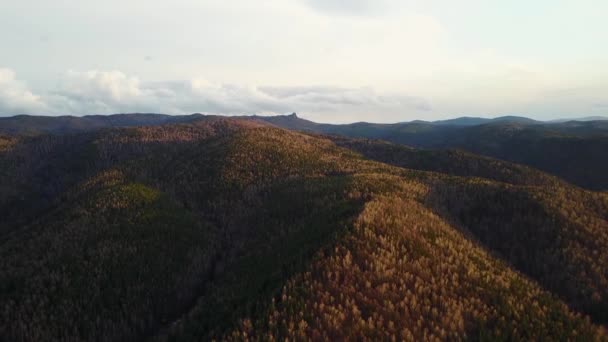 Puesta Sol Primavera Bosque — Vídeo de stock