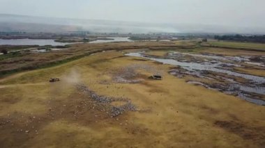 Hula Gölü. Turnalar. Ulusal Rezerv. İsrail.