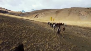 Altai, dağlar, yaz, bulutlar, şelale