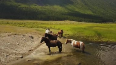 Altai, dağlar, yaz, bulutlar, şelale