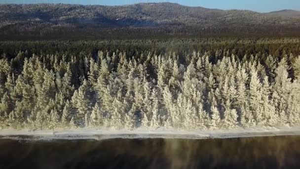 Forêt Neige Bord Rivière — Video