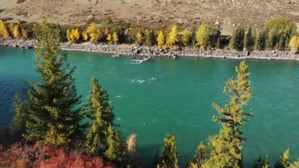 Altaï Montagnes Été Nuages Cascade — Video