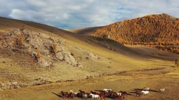 Altai Berge Sommer Wolken Wasserfall — Stockvideo
